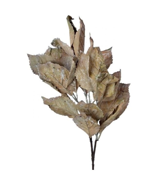 24" Dried Crinckled Leaves Spray