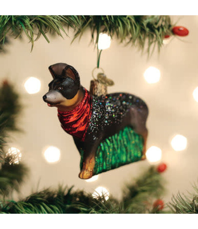 OLD WORLD CHRISTMAS Australian Cattle Dog Ornament