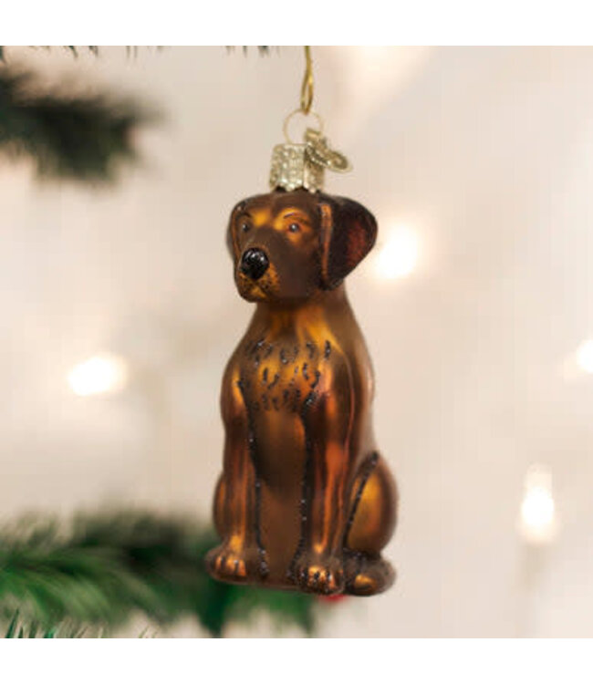 OLD WORLD CHRISTMAS Chocolate Labrador Ornament