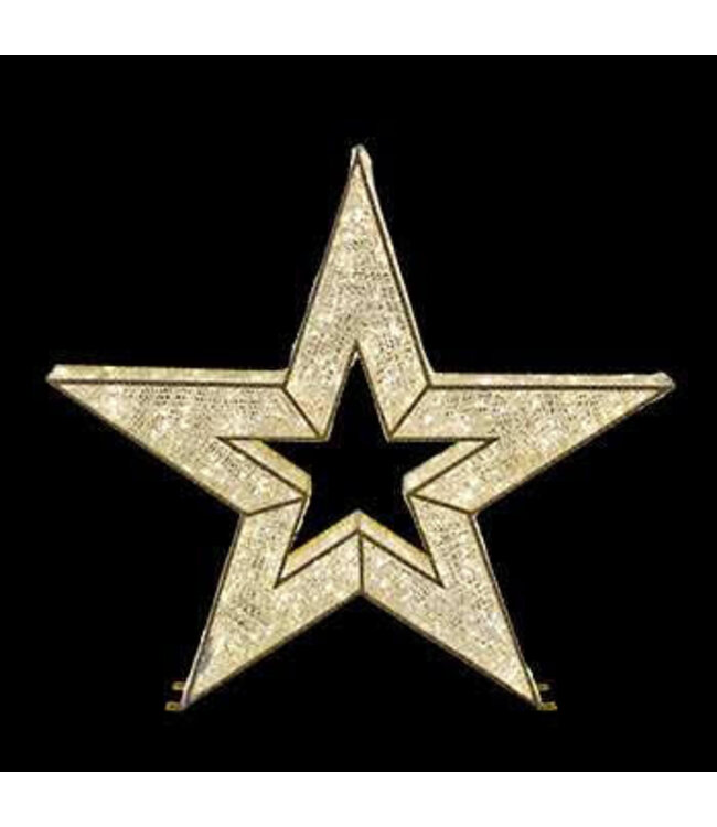 Star Warm White/Gold Frame