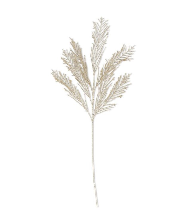 40 Inch Gold Glittered Asparagus Spray
