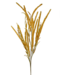 Setaria Spray