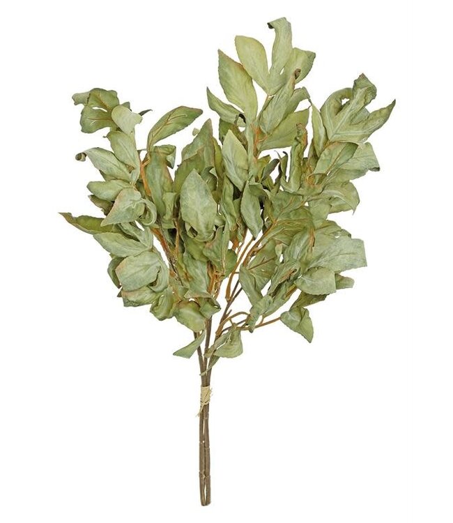 26" Dried Leaf Bundle Sage Green