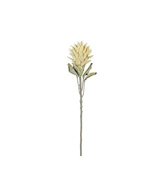 30" Protea Spray Parchment
