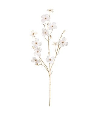 40” Velvet Dogwood Spray Cream