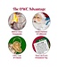 OLD WORLD CHRISTMAS Holiday French Bulldog Ornament