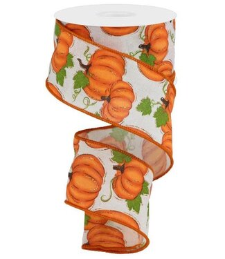2.5" x 10yd Pumpkin Patch Ribbon