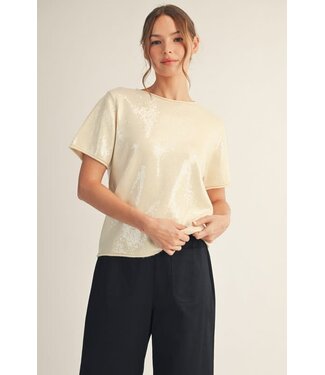 Sandy Tiny Sequins Covered Sweater Top