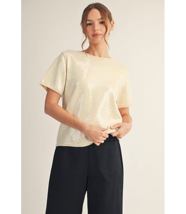 Sandy Tiny Sequins Covered Sweater Top