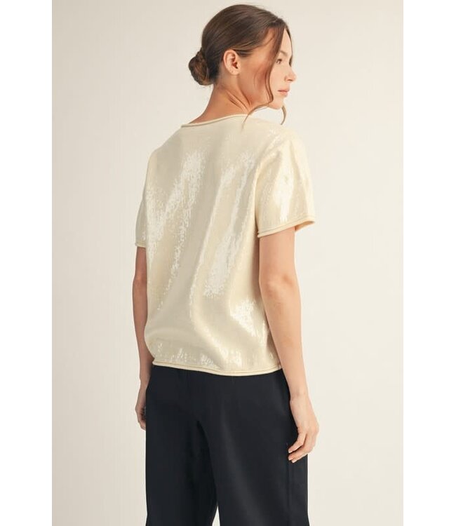 Sandy Tiny Sequins Covered Sweater Top
