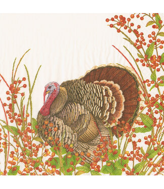 Turkey and Berries Napkin Cocktail