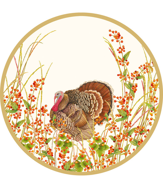 Square Turkey and Berries Salad & Dessert Plates