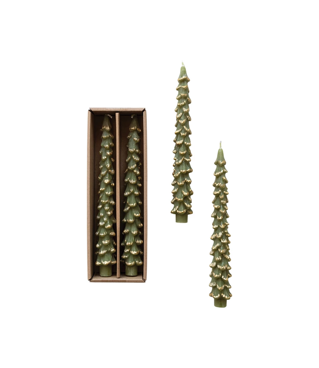 Unscented Tree Shaped Taper Candles w/ Gold Tips in Box - Evergreen