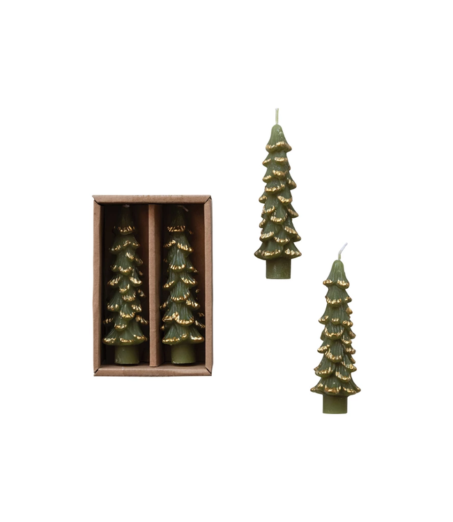 Unscented Tree Shaped Taper Candles With Gold Tips in Box - Evergreen