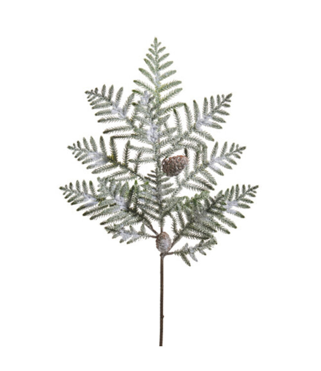 37" Iced Norfolk Pine Branch