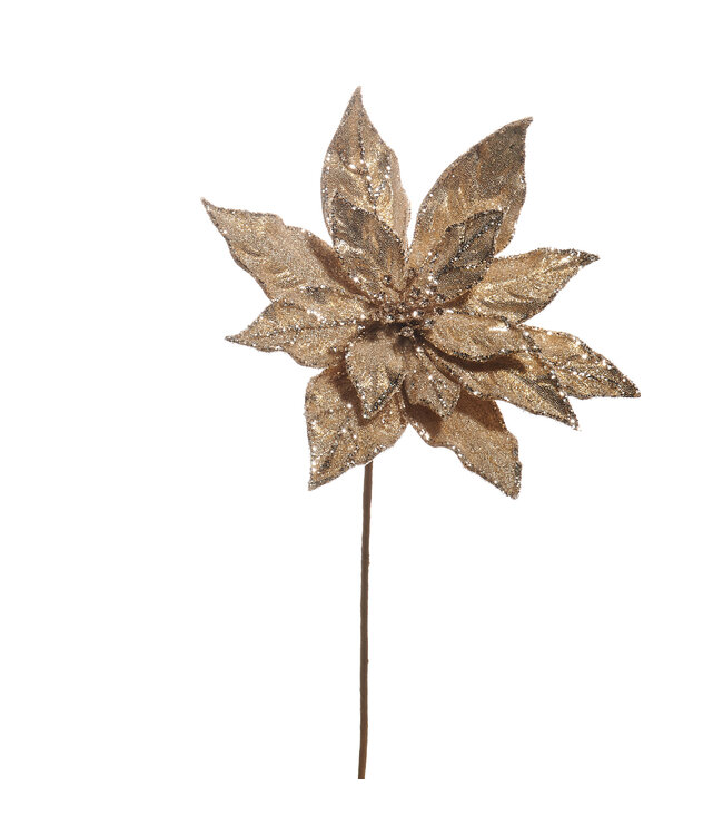 20" Soft Champagne Poinsettia Stem