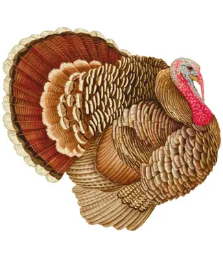 Turkey Paper Placemats