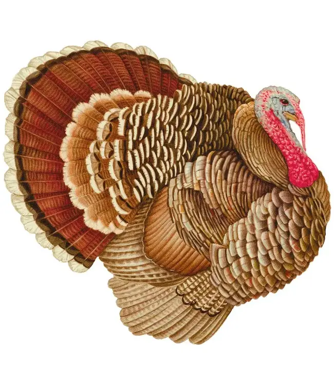 Turkey Paper Placemats