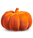 Flocked Pumpkin-sold individually