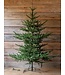 Nouveau Noble Fir Tree 7.5', With Dimmer Switch