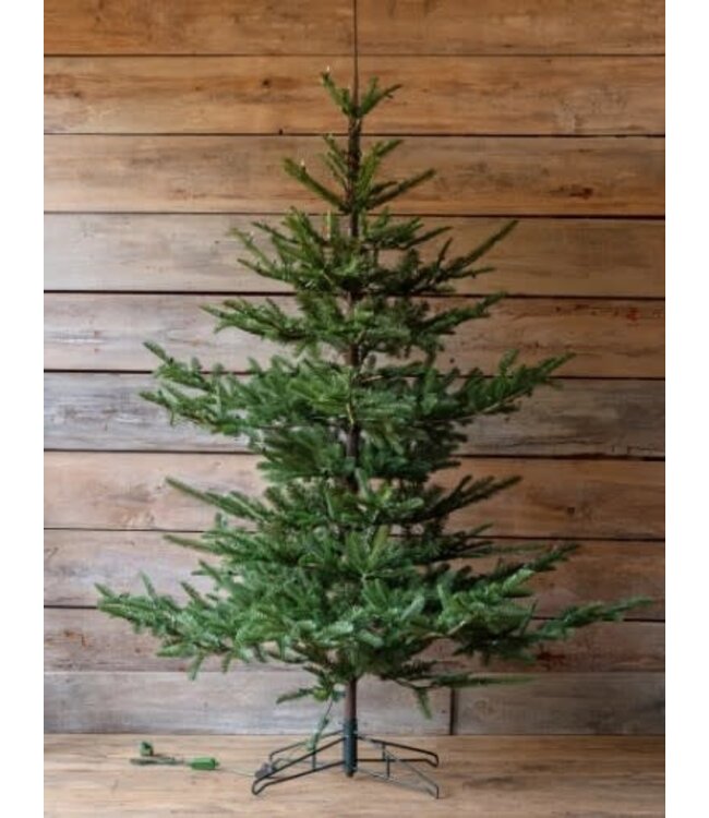 Nouveau Noble Fir Tree 7.5', With Dimmer Switch