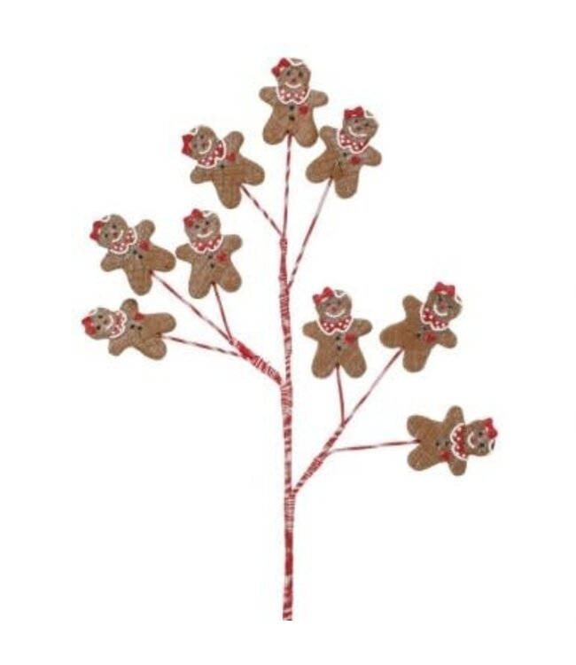 22" Cdough Gingerbread Man Spray