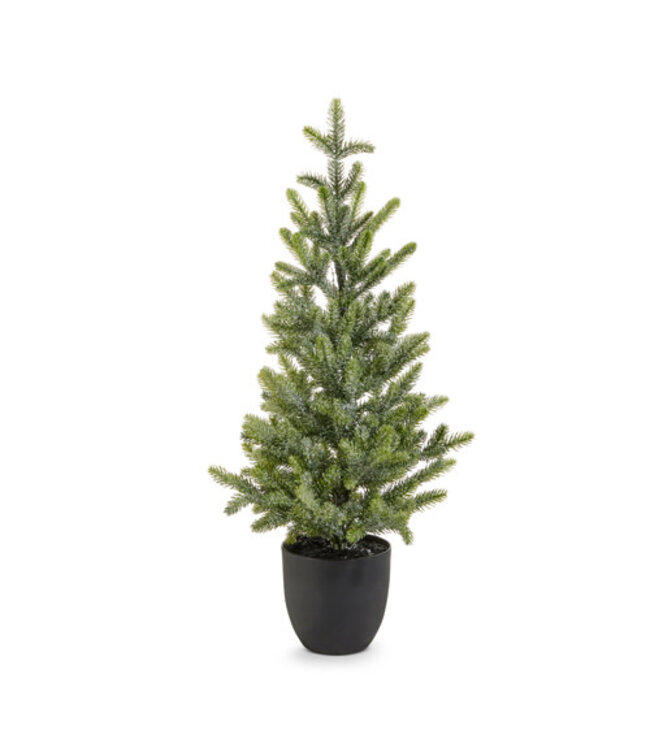 Potted Iced Fir Tree - Sold Individually