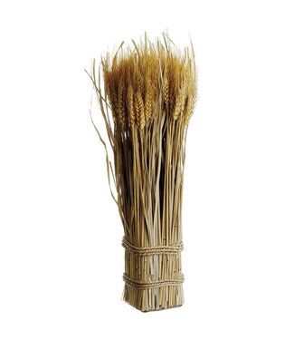 16.9" Wheat Grass Std Twig