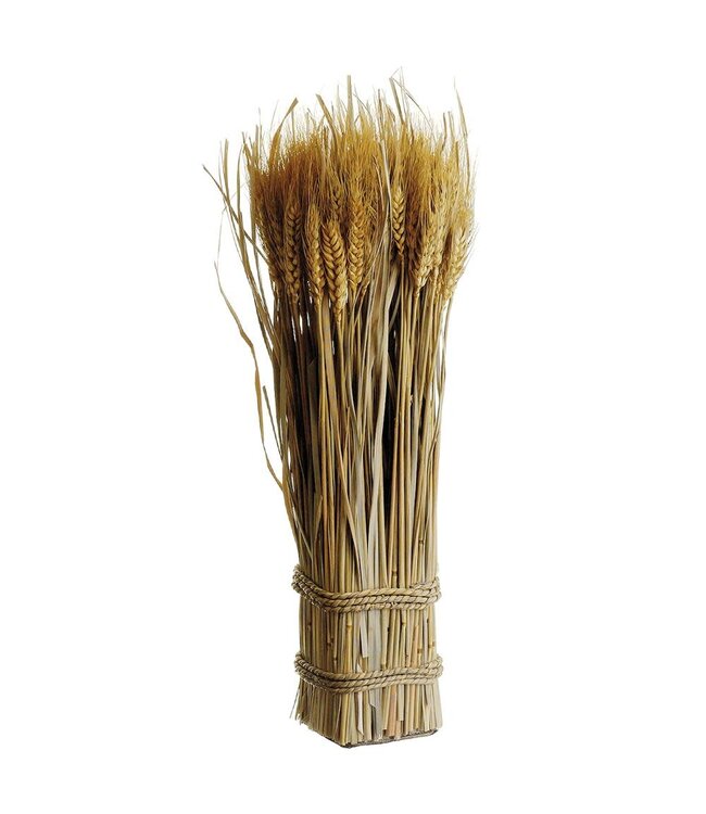 16.9" Wheat Grass Std Twig