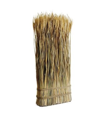 23.6" Preserved Wheat/Grass Standing Twig Natural