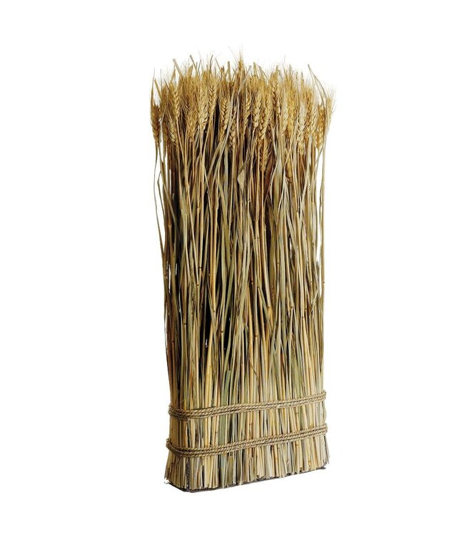 23.6" Preserved Wheat/Grass Standing Twig Natural