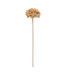 29.5in Gold Hydrangea Stem