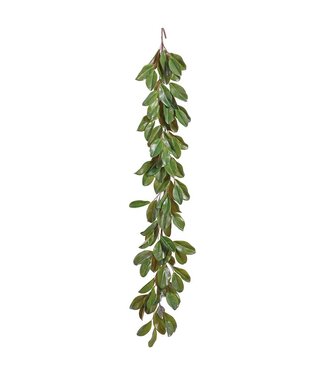 6' Magnolia Leaf Garland Green