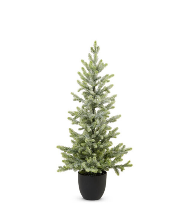 Potted Iced Fir Tree - Sold Individually