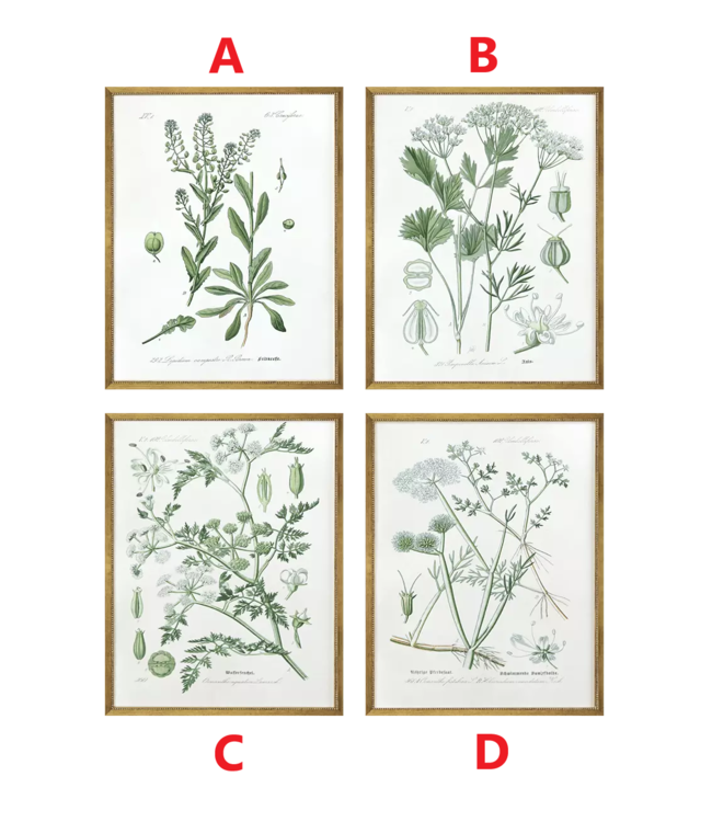 Assemblage - Sold Individually