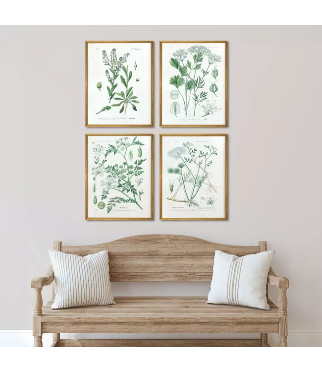 Assemblage - Sold Individually