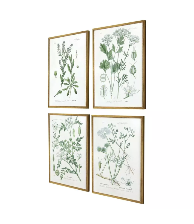 Assemblage - Sold Individually