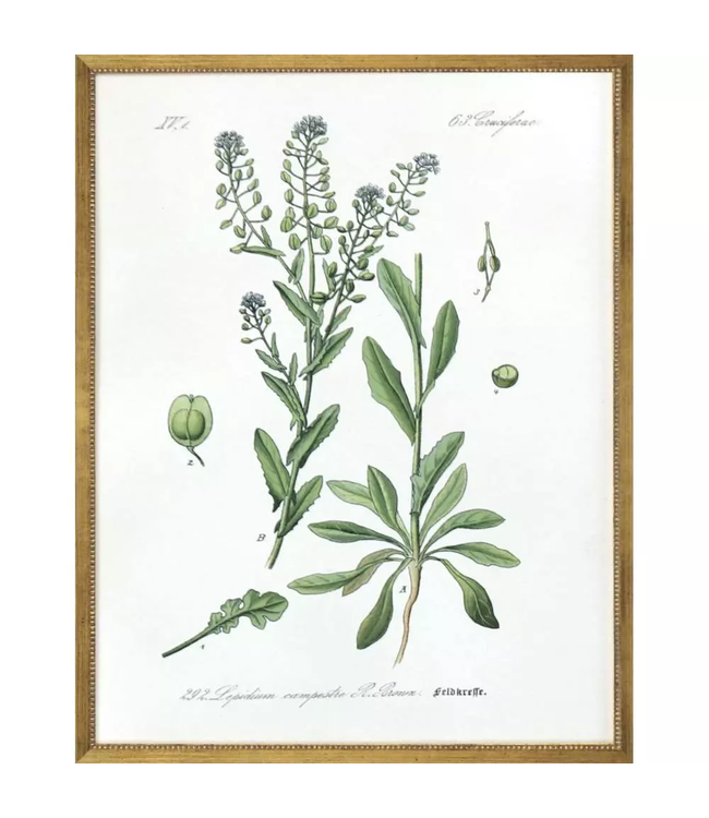 Assemblage - Sold Individually