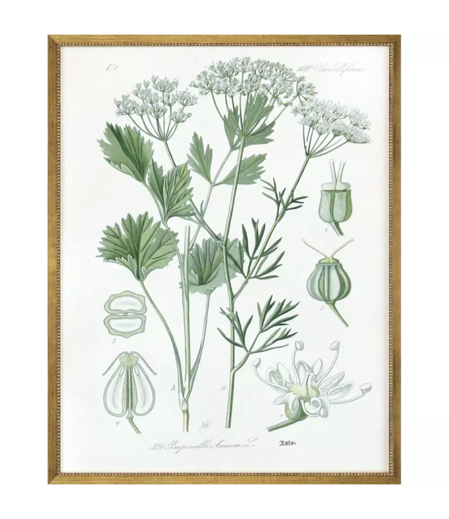 Assemblage - Sold Individually