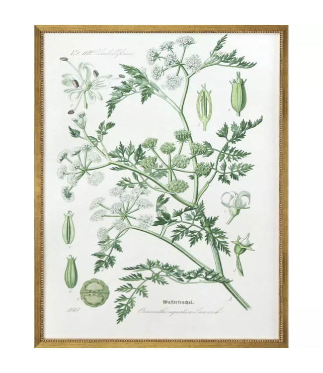 Assemblage - Sold Individually