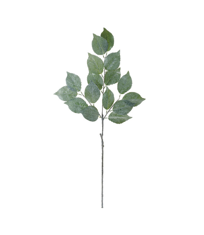 Leaf Spray Polyester