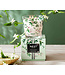 Nest Fragrances Nest Specialty 3 Wick Candle