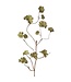 42" Autumn Geranium Leaf Vine