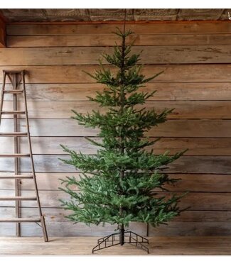 Nouveau Noble Fir Tree 10.0', With Dimmer Switch