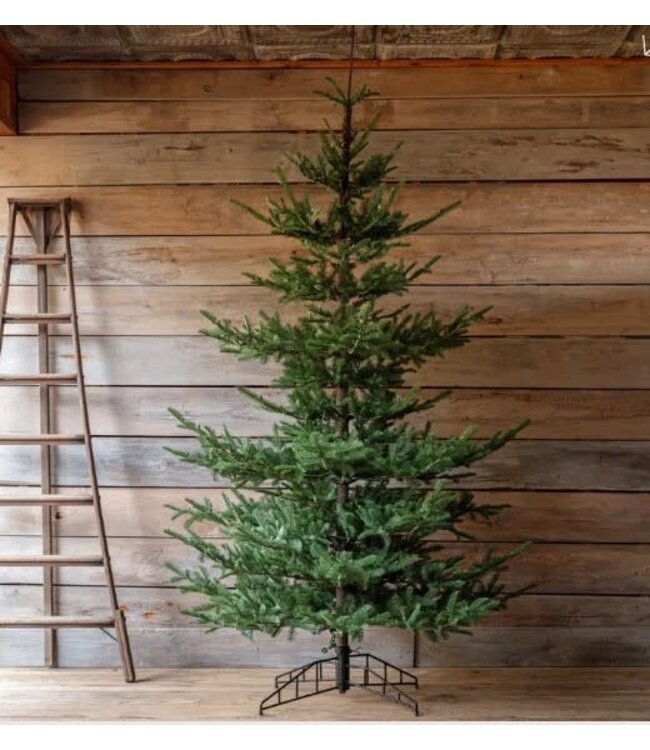 Nouveau Noble Fir Tree 10.0', With Dimmer Switch