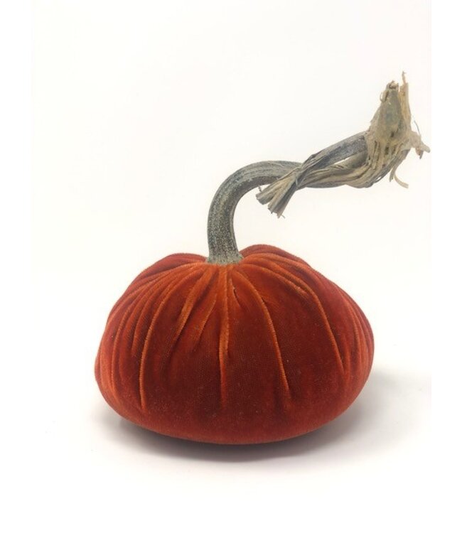 HOT SKWASH 5" Velvet Pumpkin