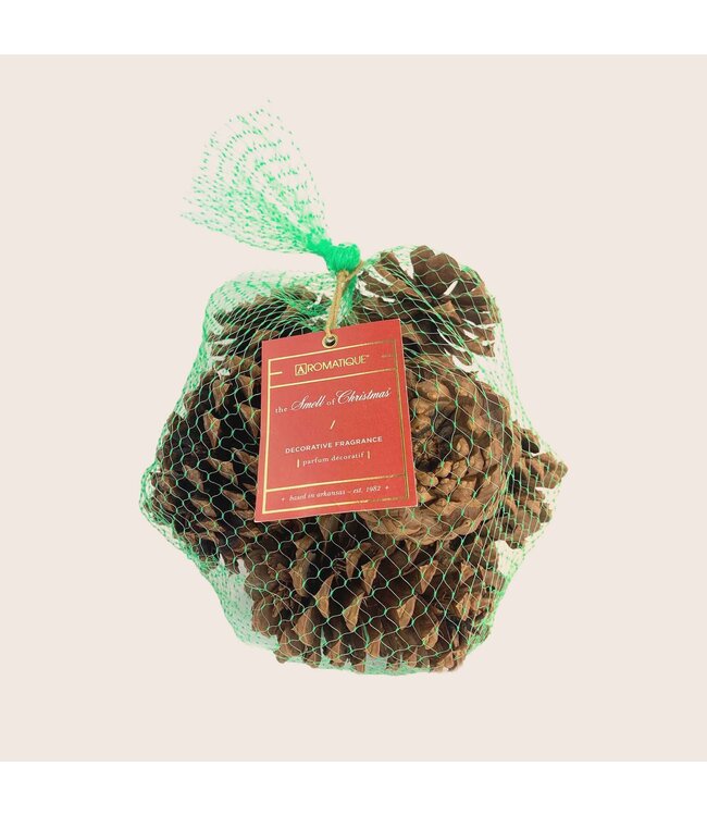 AROMATIQUE 6 Oz The Smell of Christmas - Pinecone Bag