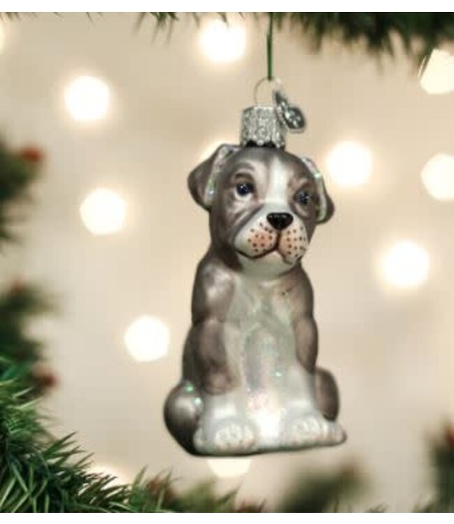 OLD WORLD CHRISTMAS Pitbull Pup Ornament