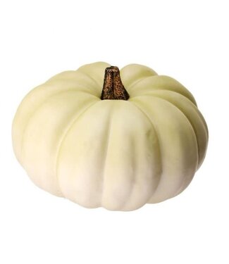 12"LX12"W"X8.5"H LATEX HARVEST VINE CREAM PUMPKIN