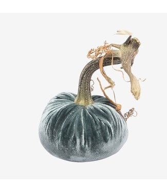 HOT SKWASH Jumbo Junior Velvet Pumpkin